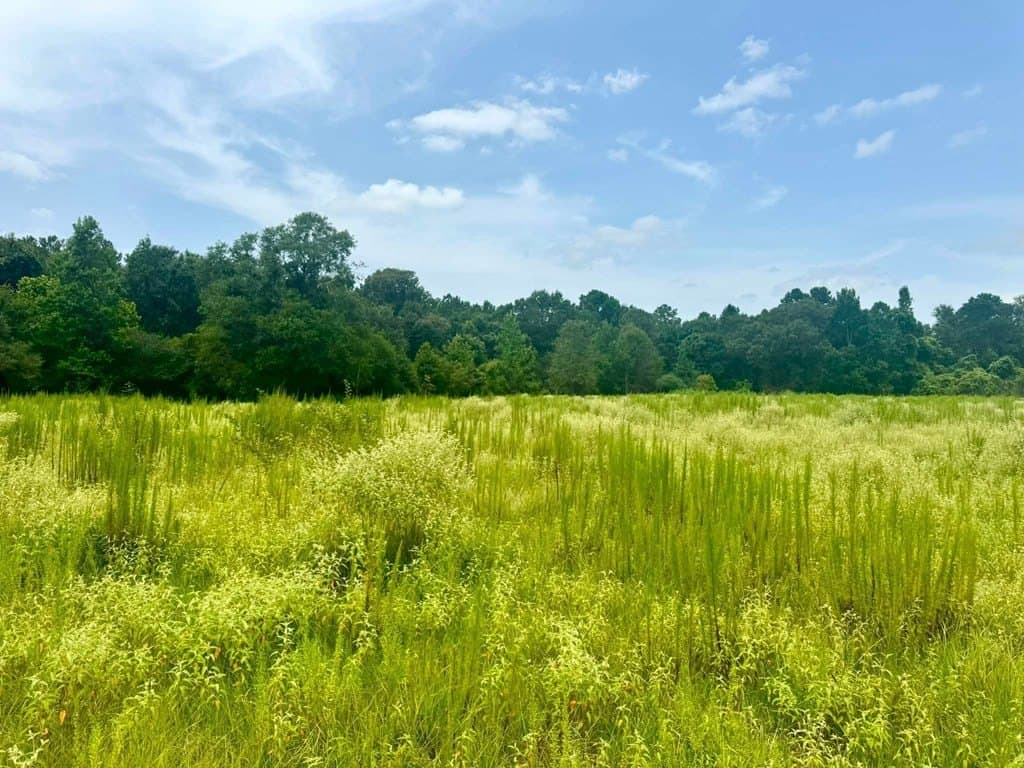 32.25 acres in Texas County - photo 17