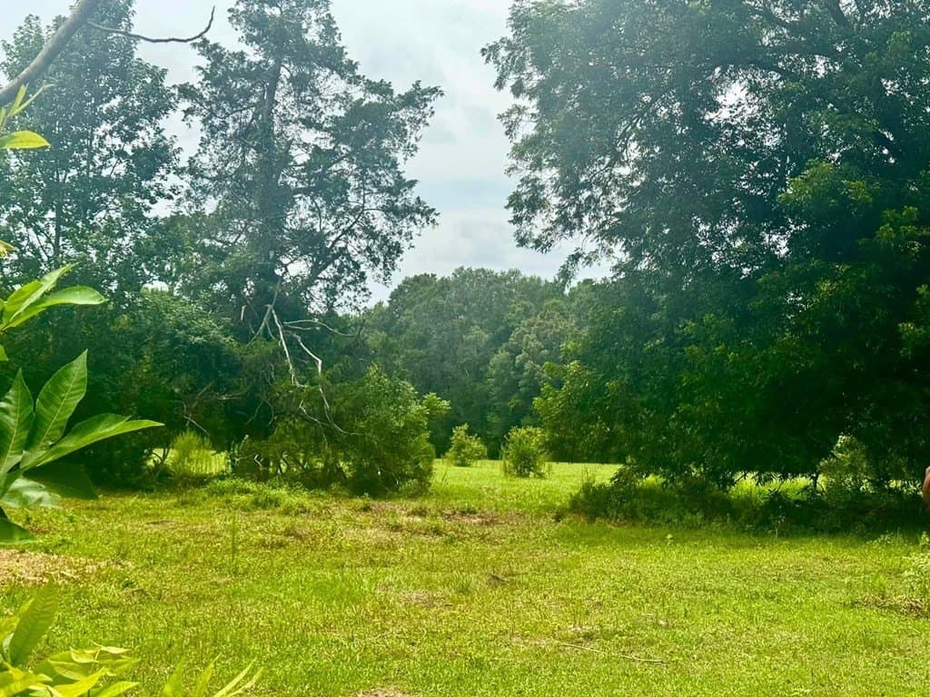 32.25 acres in Texas County - photo 10