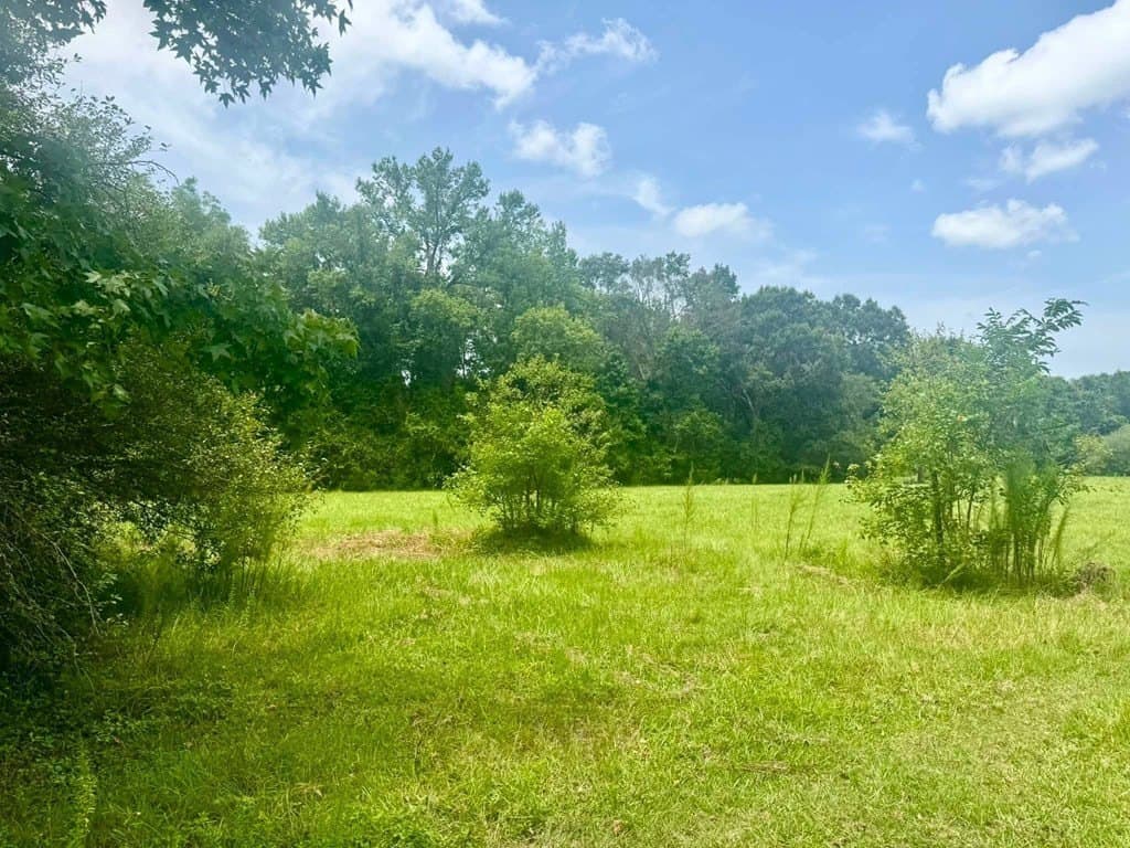 32.25 acres in Texas County - photo 23