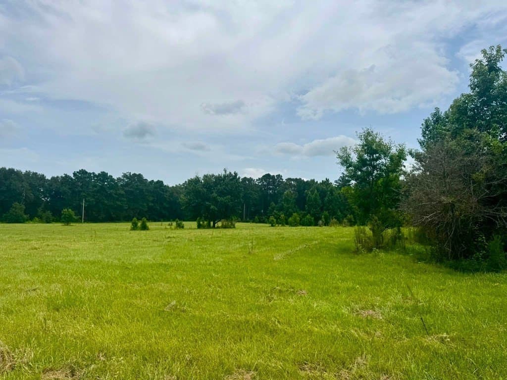 32.25 acres in Texas County - photo 18