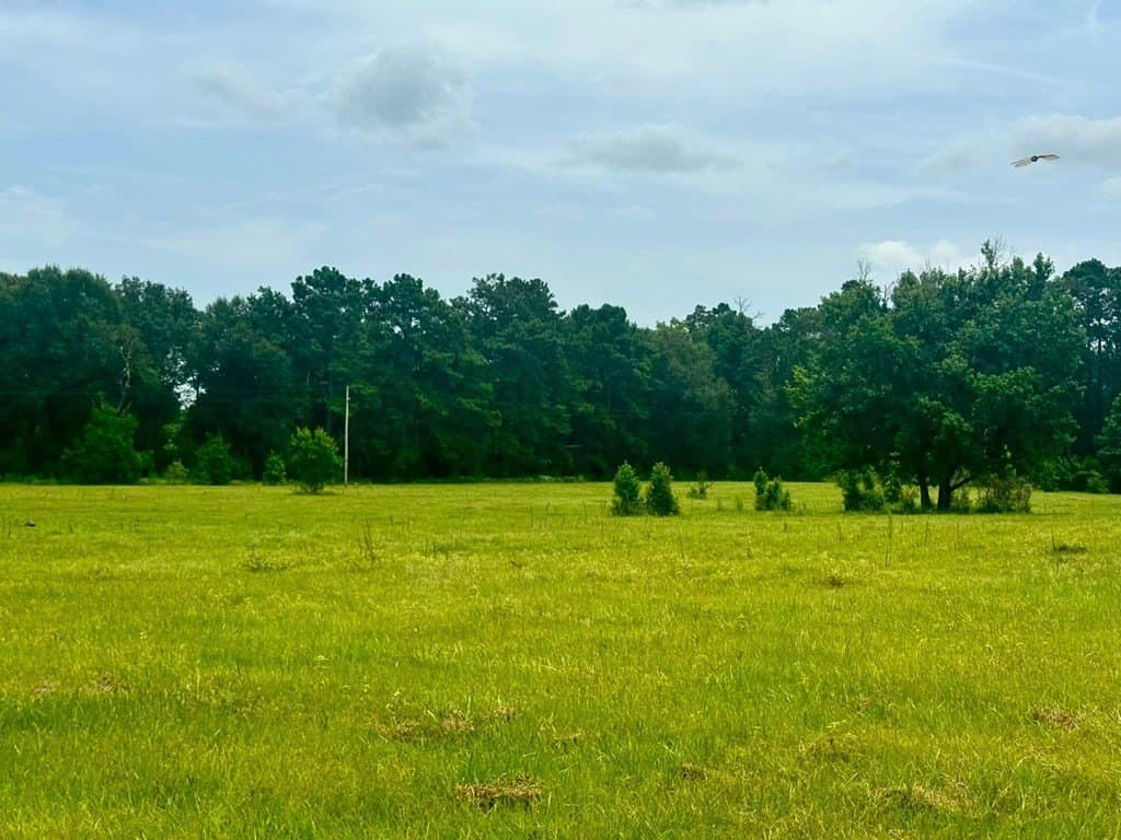 32.25 acres in Texas County - photo 20