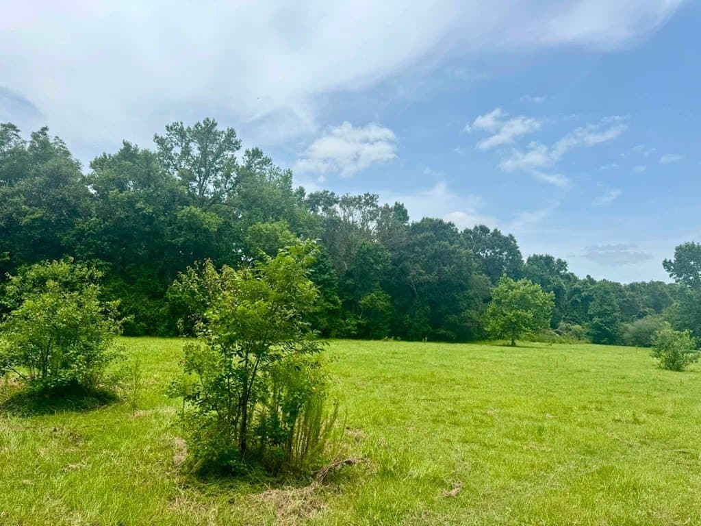 32.25 acres in Texas County - photo 11