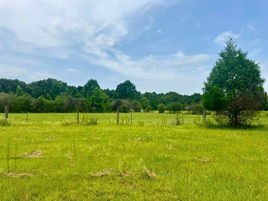 32.25 acres in Texas County - photo 21