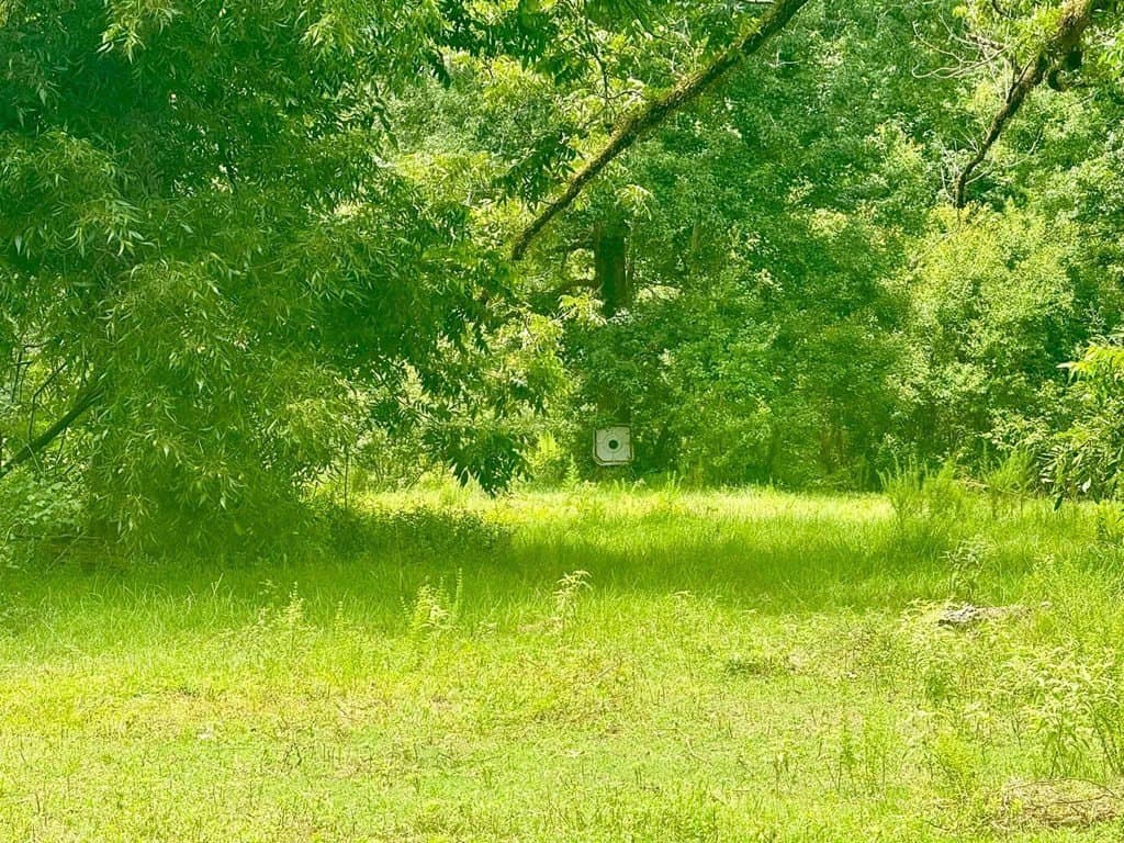 32.25 acres in Texas County - photo 7