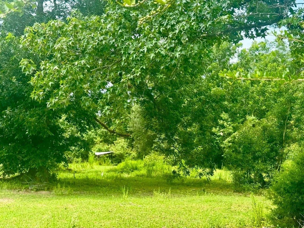 32.25 acres in Texas County - photo 8