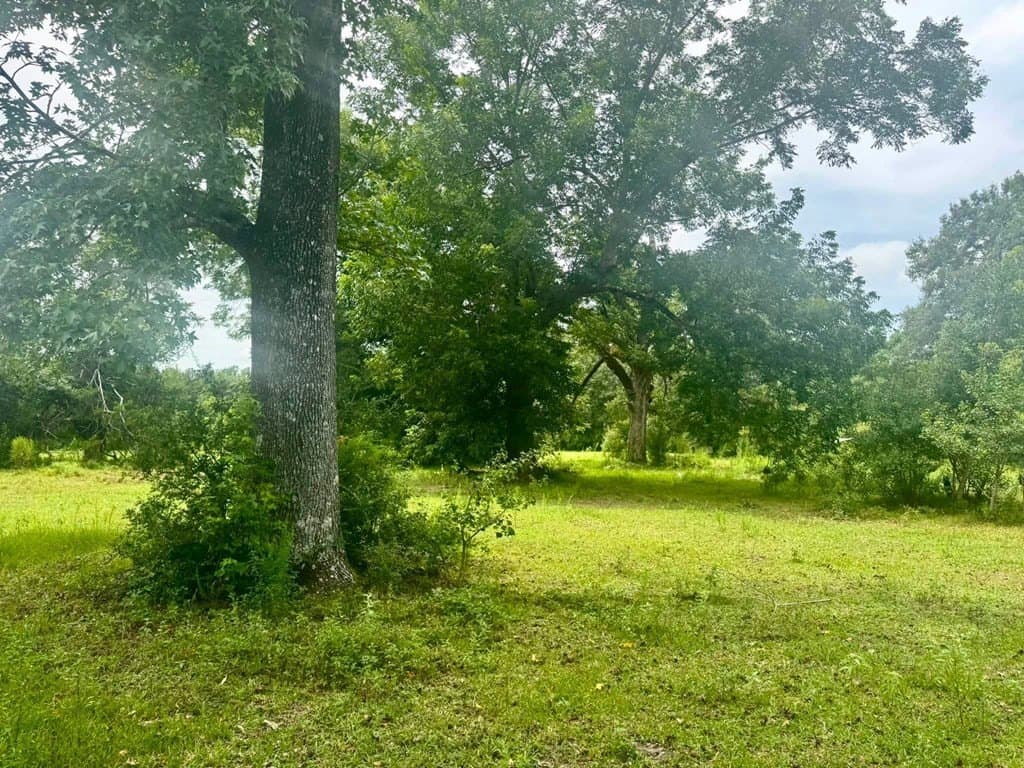 32.25 acres in Texas County - photo 6