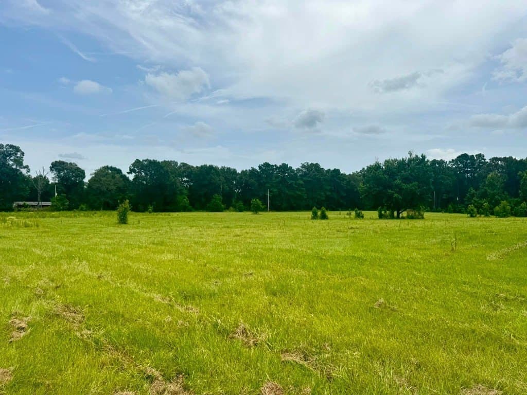 32.25 acres in Texas County - photo 13