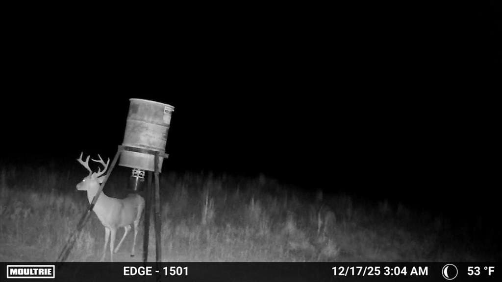 34.45 acres in Eastland County featured view