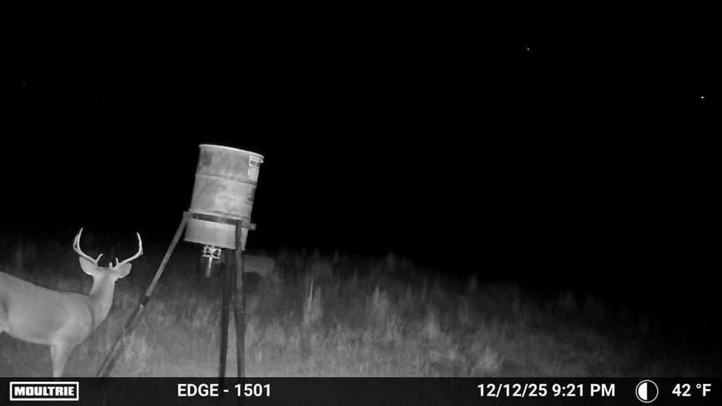 34.45 acres in Eastland County gallery image 4