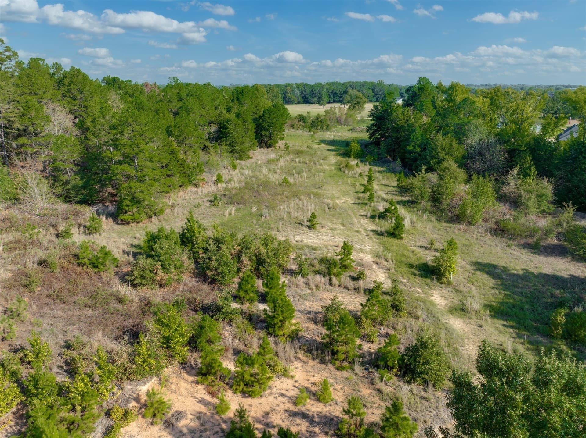 4.1 acres in Smith County - photo 12