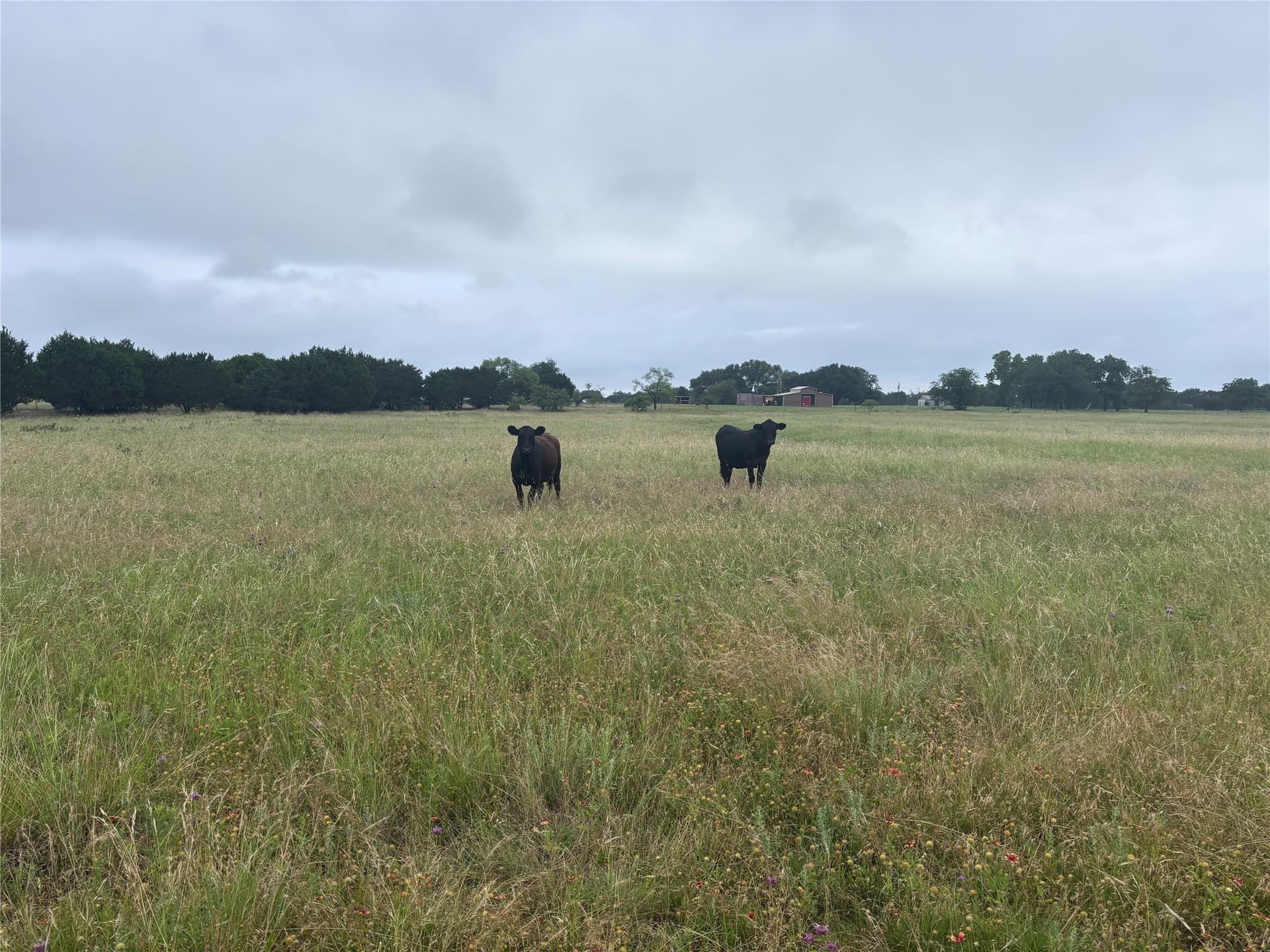 10.7 acres in Bosque County featured view