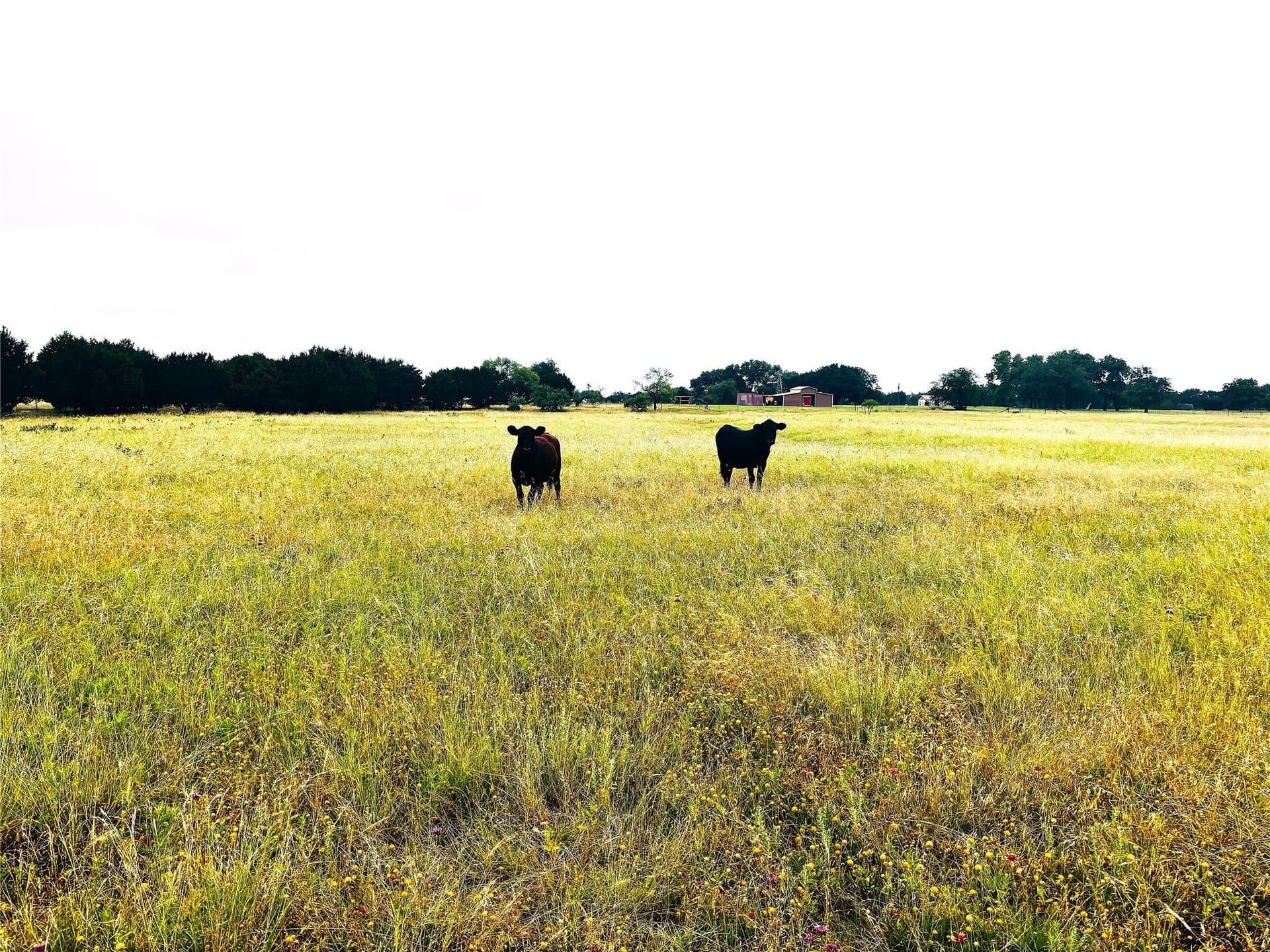 10.7 acres in Bosque County
