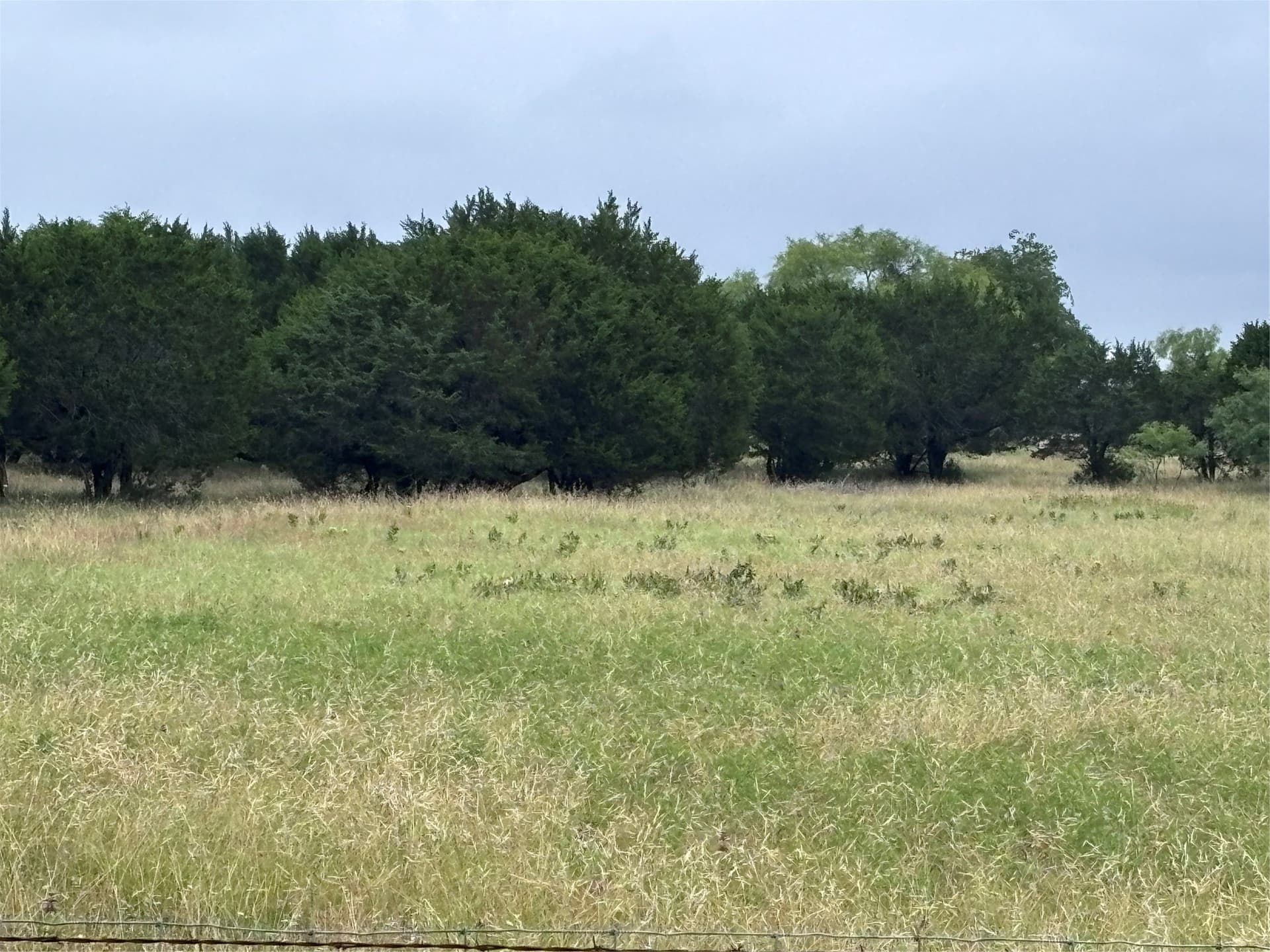 10.7 acres in Bosque County gallery image 2