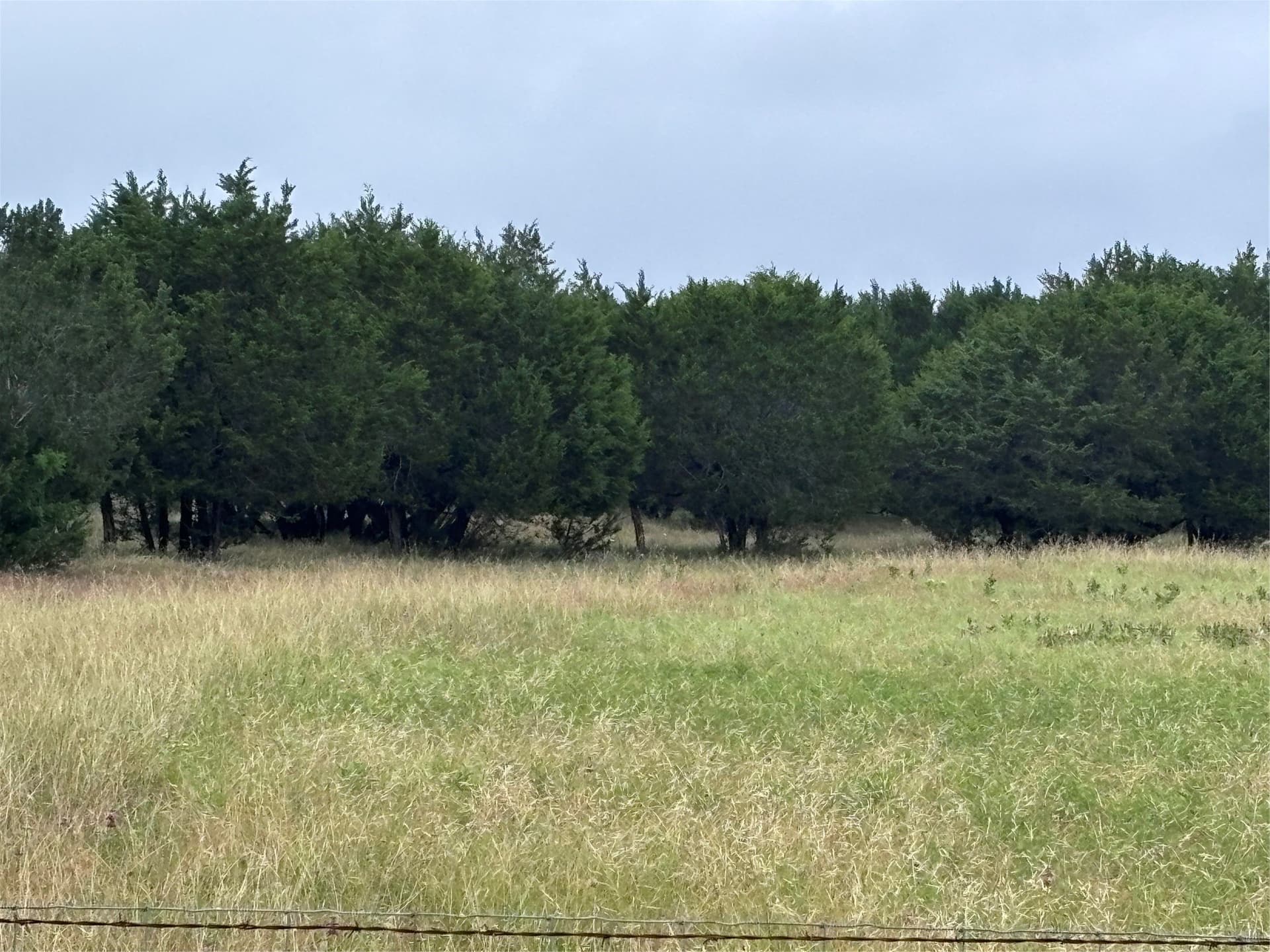 10.7 acres in Bosque County gallery image 4