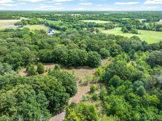 10.06 acres in Van Zandt County - photo 4