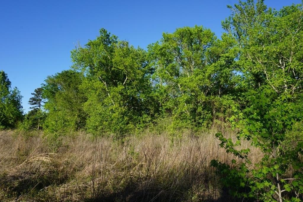 6 acres in HENDERSON County - photo 8