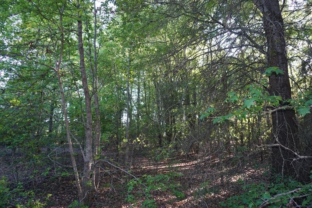 6 acres in HENDERSON County - photo 17