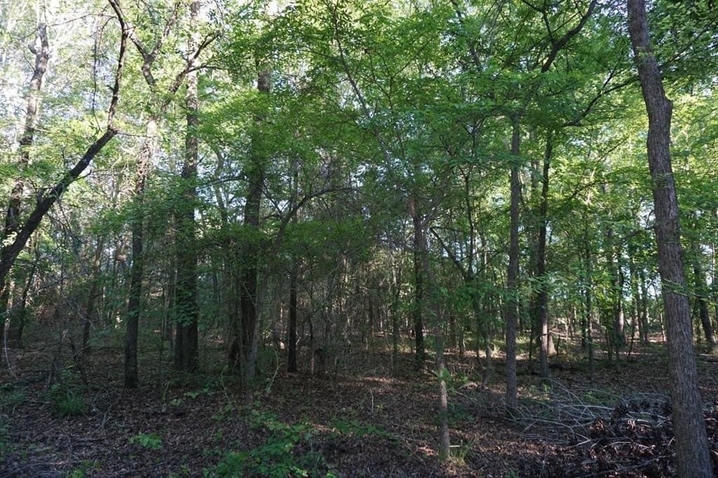 6 acres in HENDERSON County - photo 10