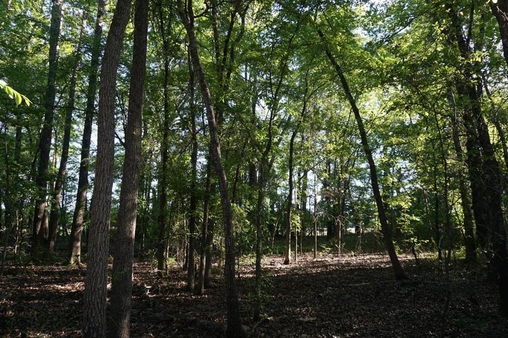 6 acres in HENDERSON County - photo 12