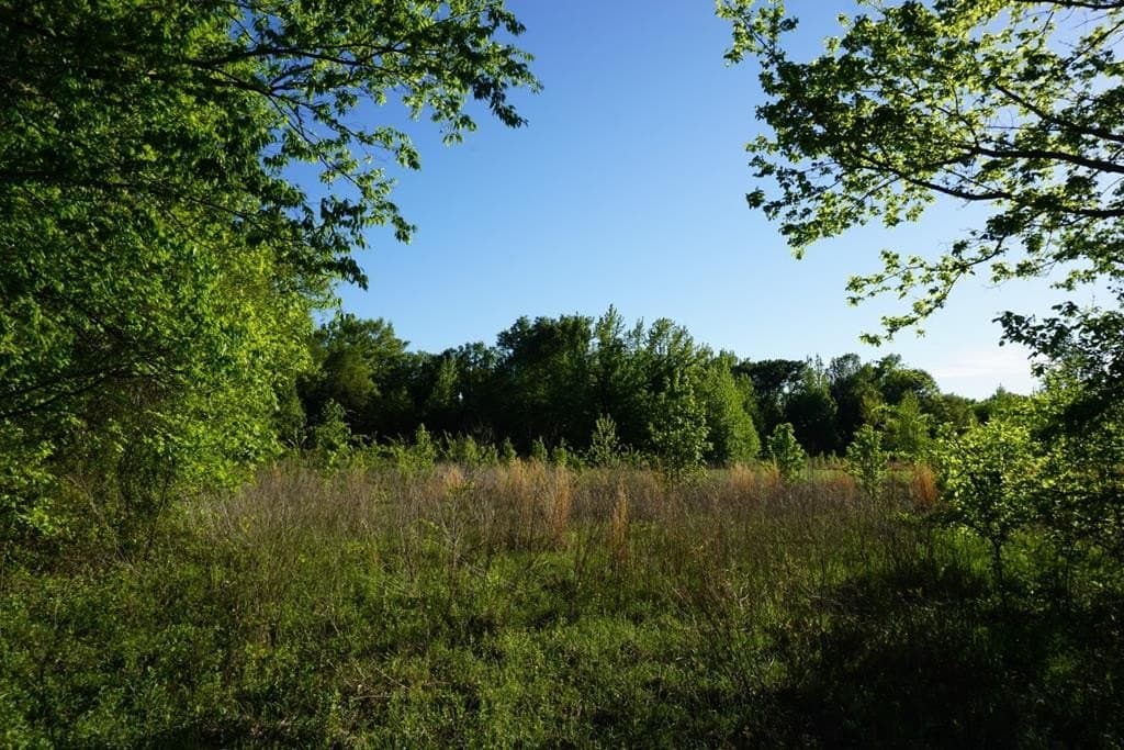 6 acres in HENDERSON County featured view