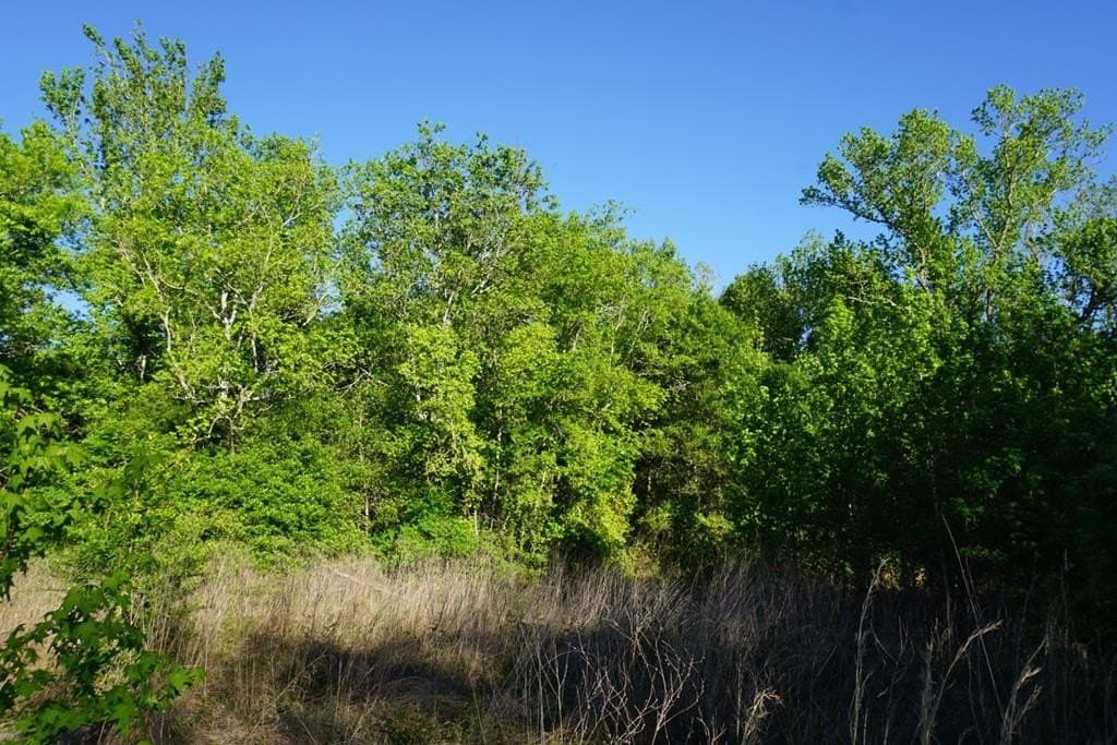 6 acres in HENDERSON County - photo 15