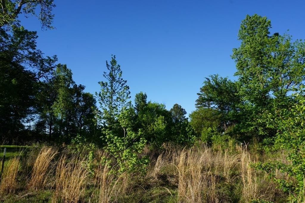 6 acres in HENDERSON County - photo 6