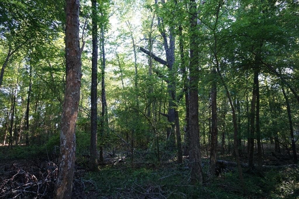 6 acres in HENDERSON County - photo 9