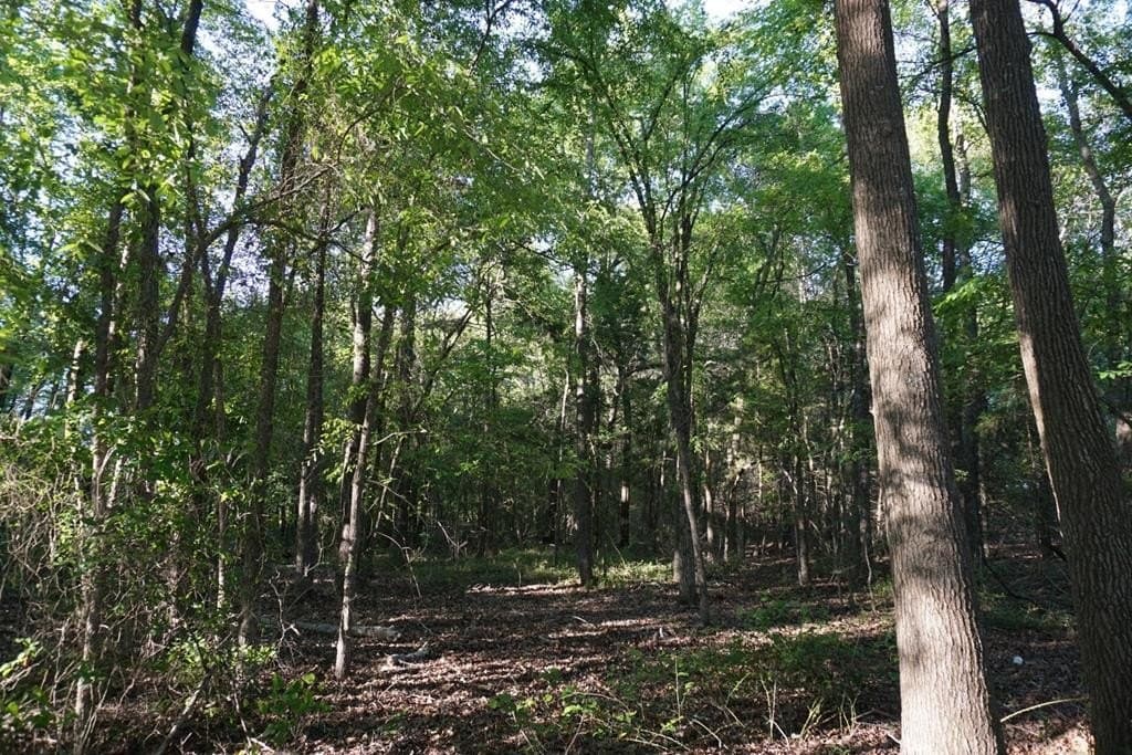 6 acres in HENDERSON County - photo 16
