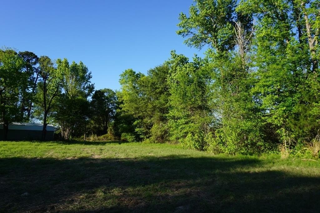 6 acres in HENDERSON County - photo 18
