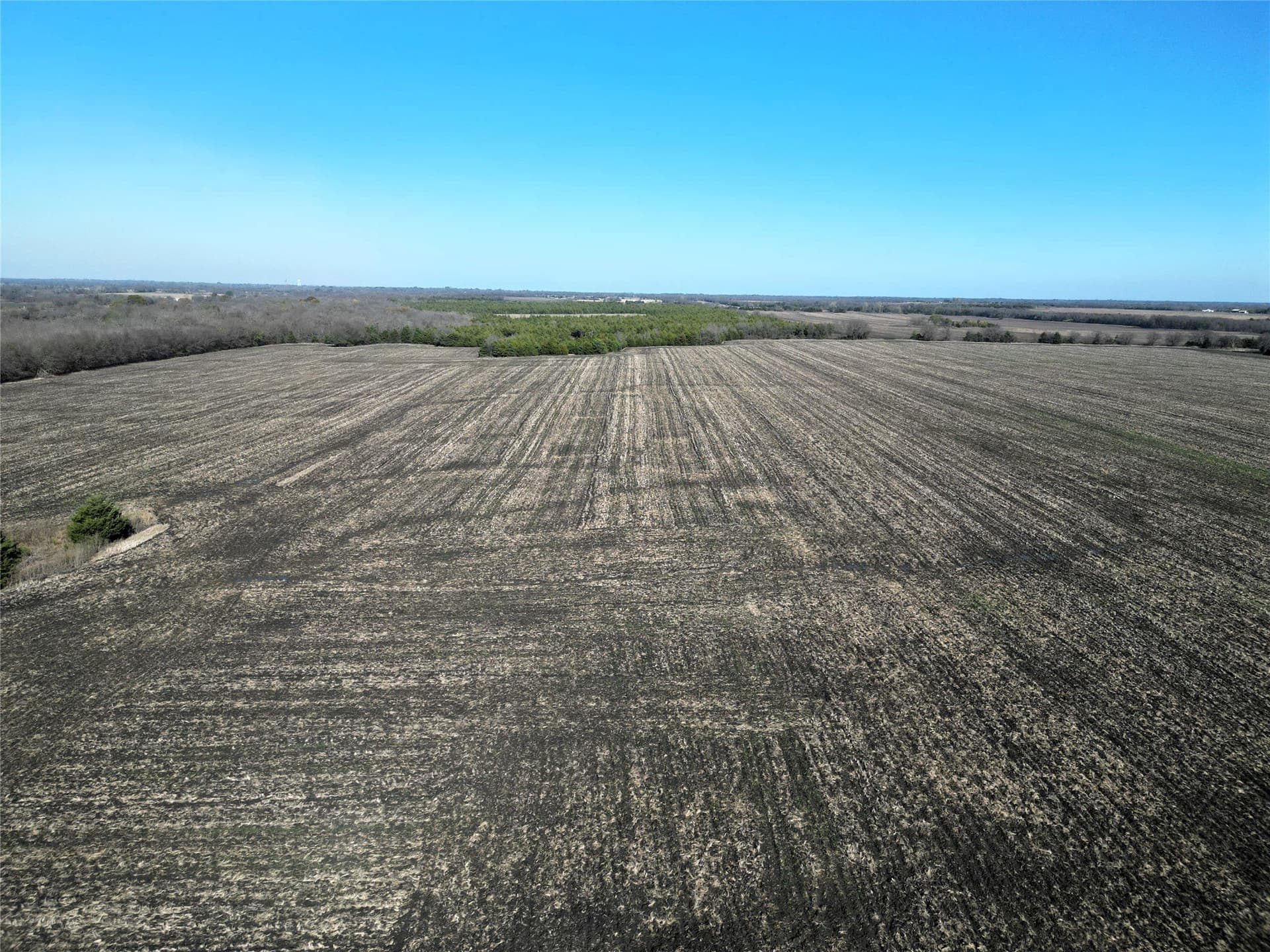 99.13 acres in Hunt County gallery image 4