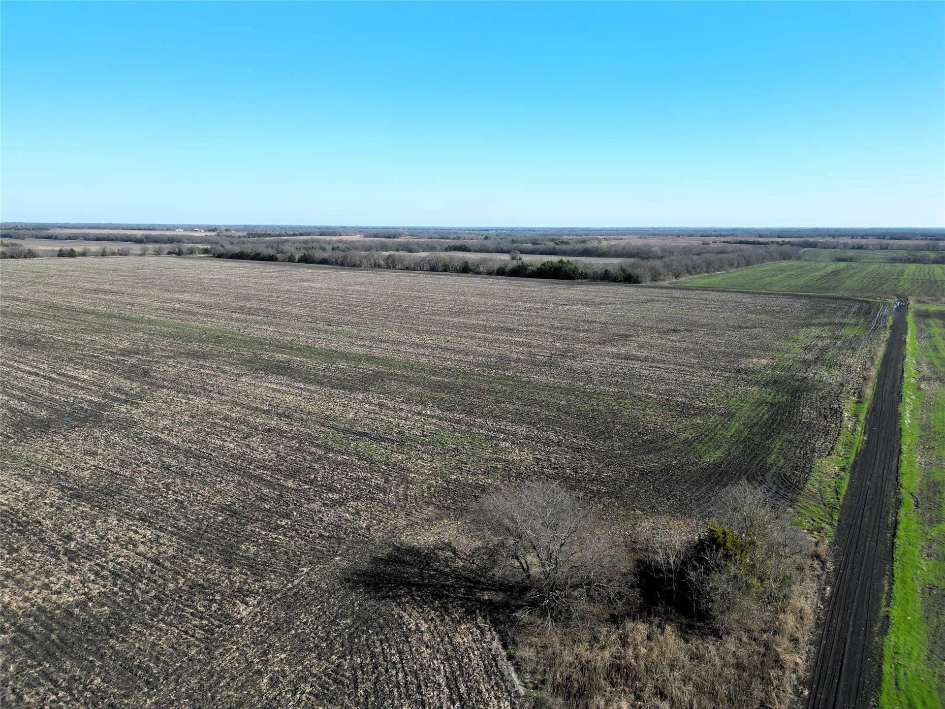 99.13 acres in Hunt County gallery image 3