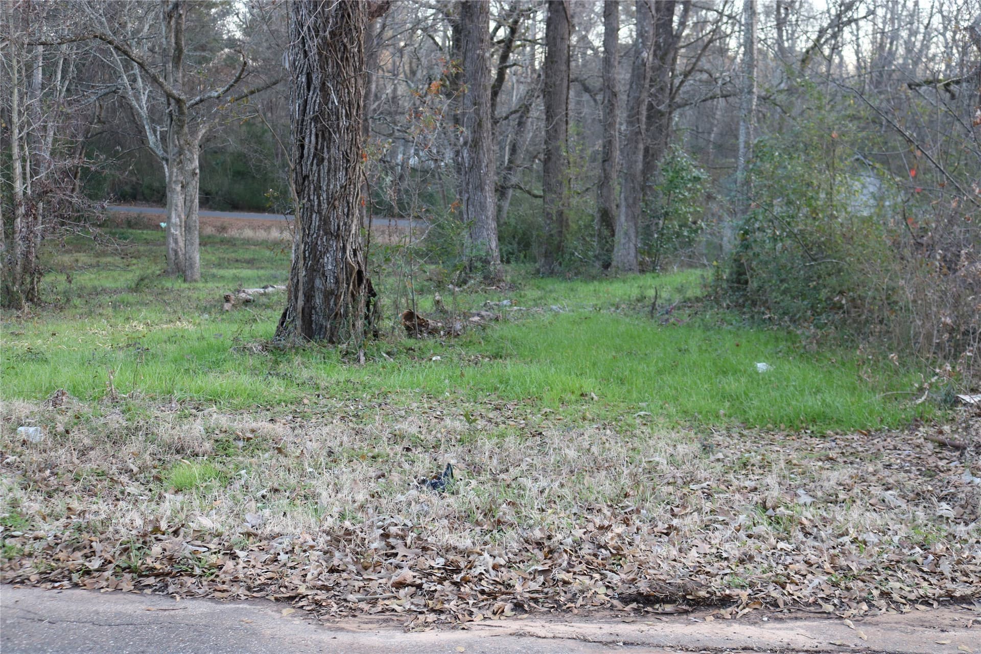 0.3 acres in Harrison County featured view