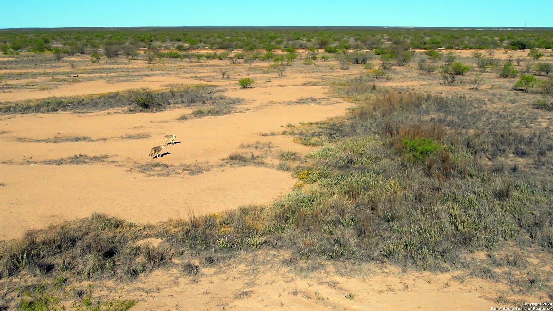 680 acres in Reeves County gallery image 4