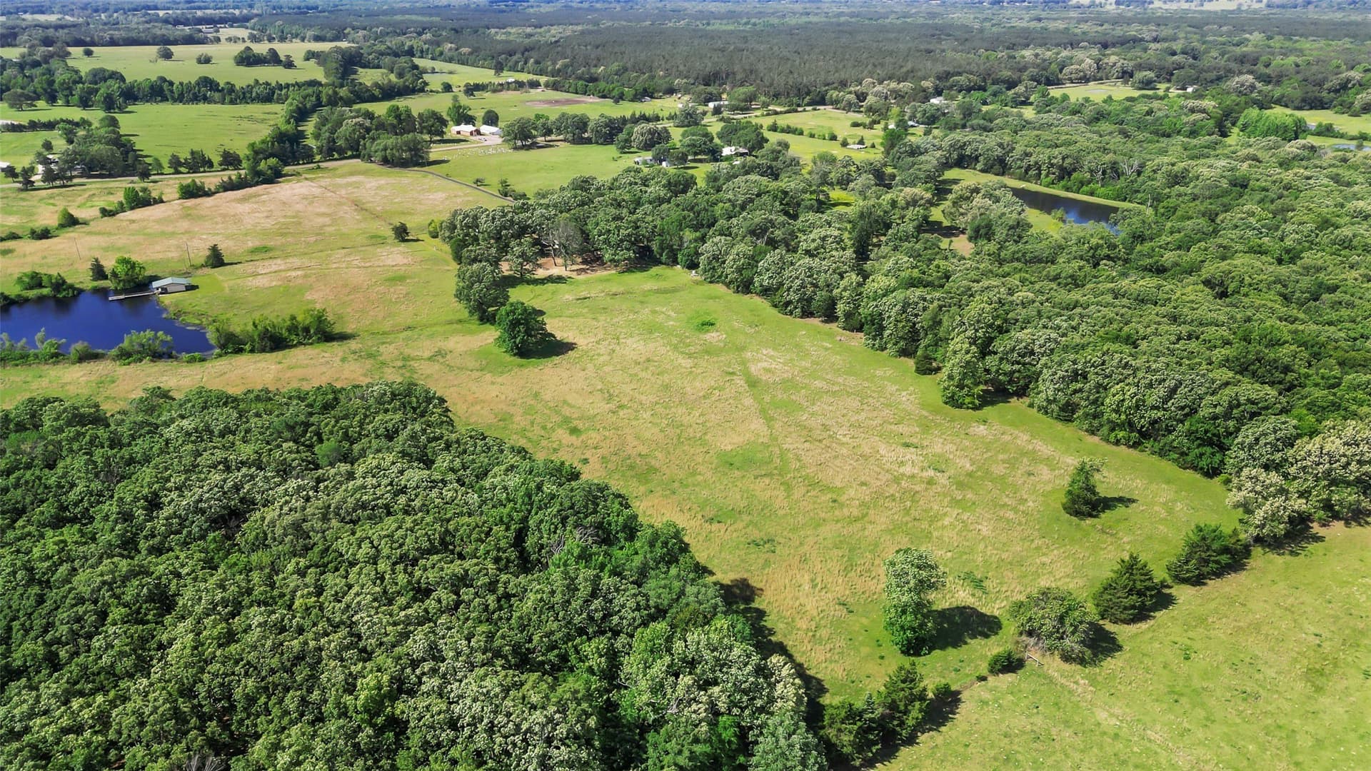 50 acres in Bowie County - photo 35