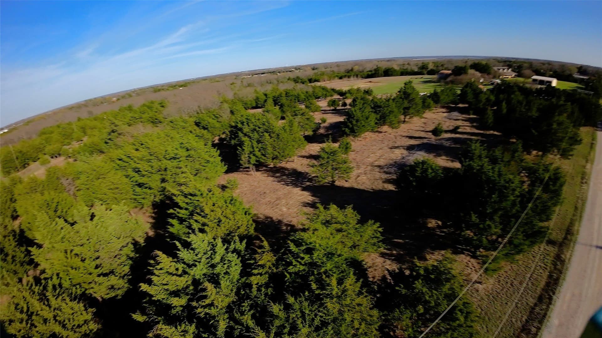 13.65 acres in Collin County - photo 5