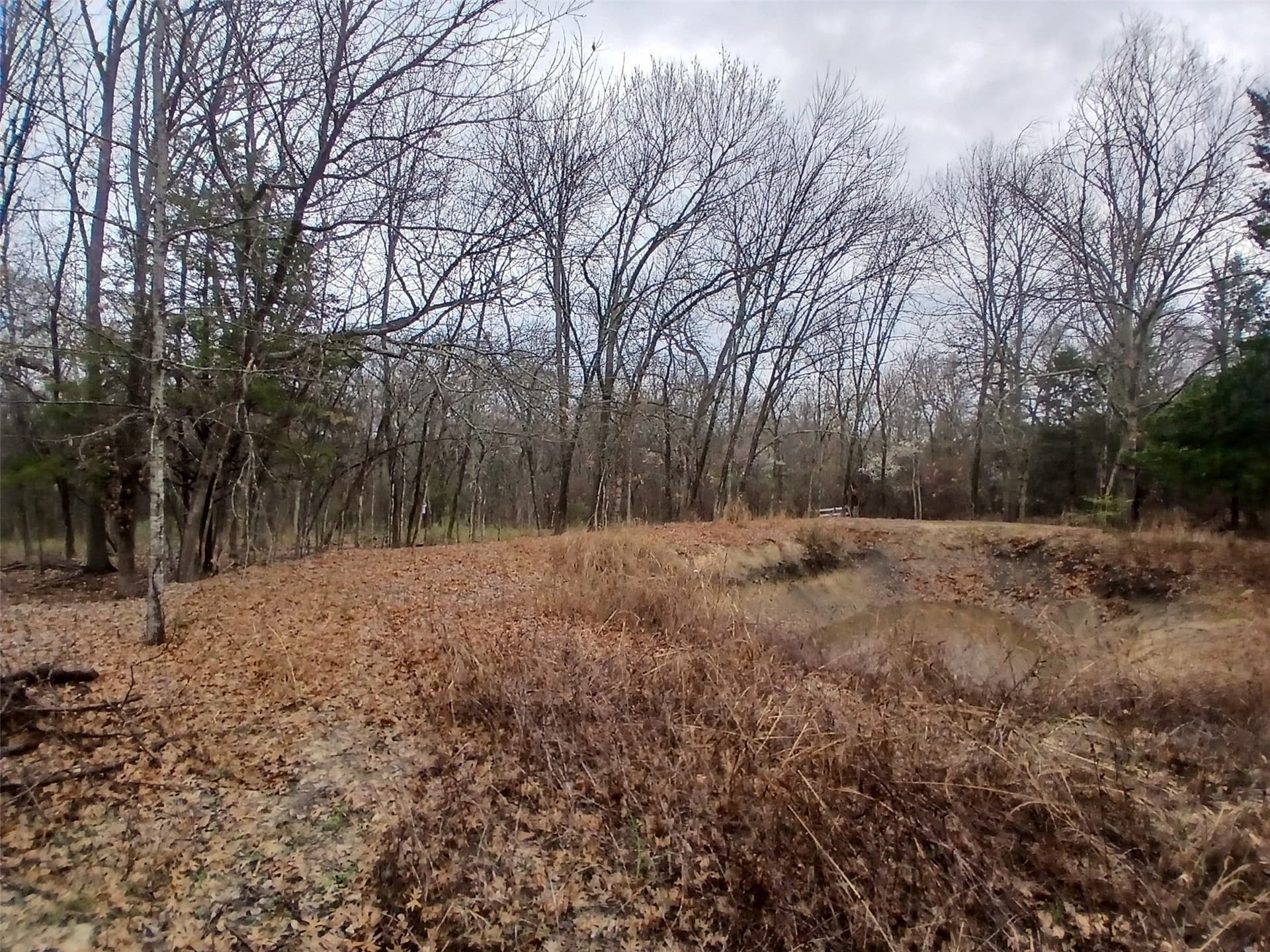 13.65 acres in Collin County - photo 23
