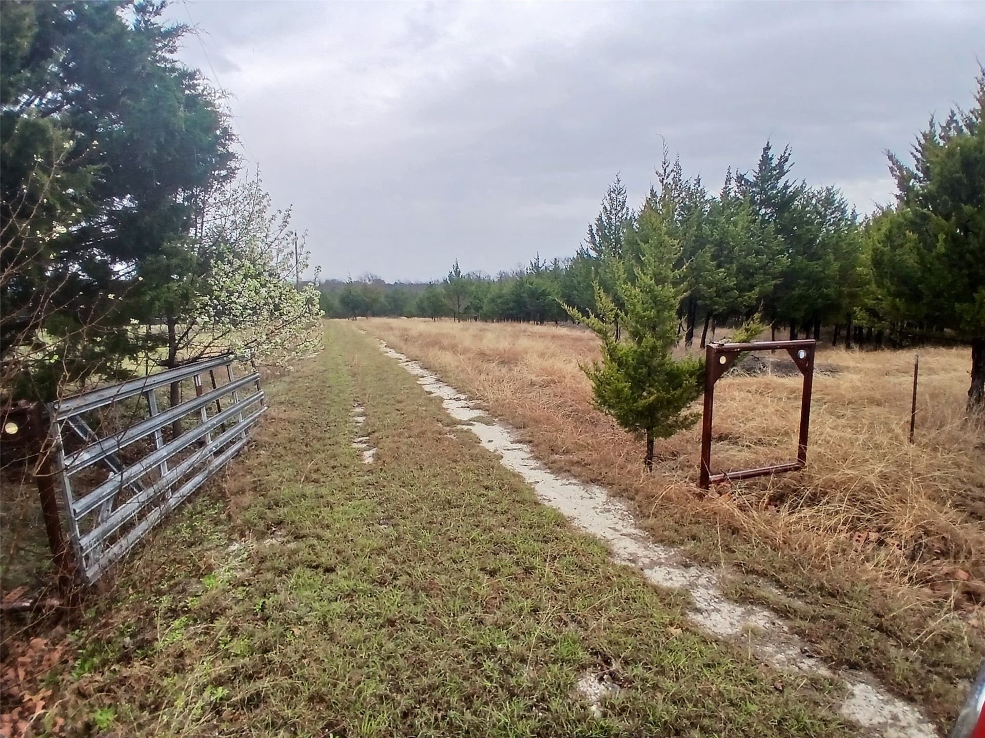 13.65 acres in Collin County - photo 15