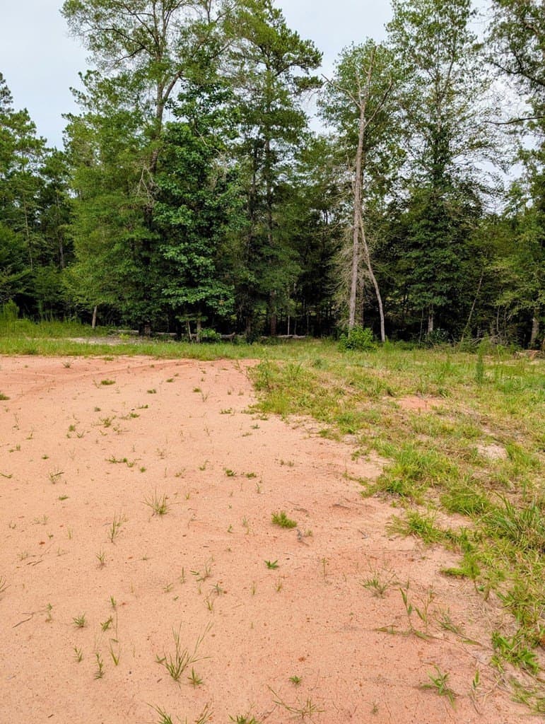 13.18 acres in Texas County gallery image 3