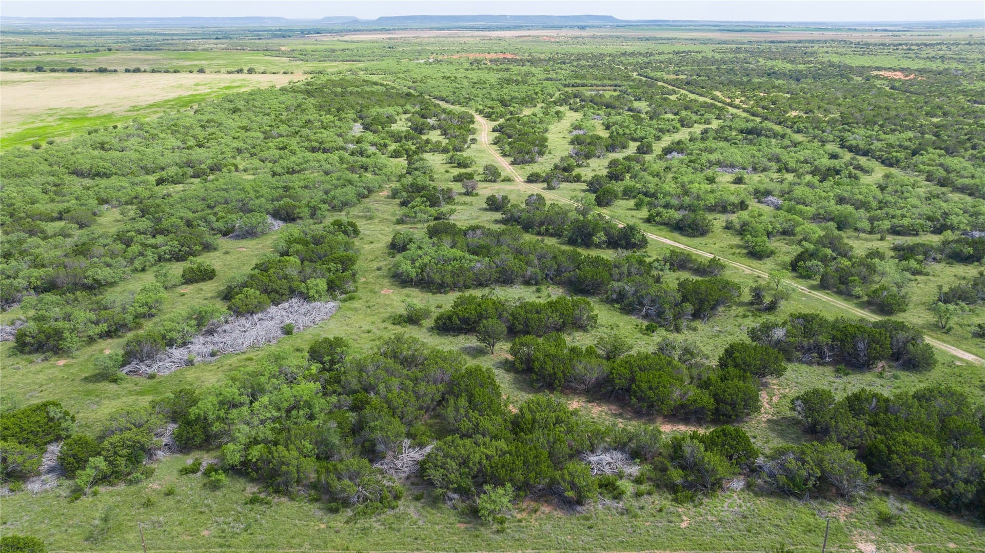 90 acres in Taylor County - photo 10