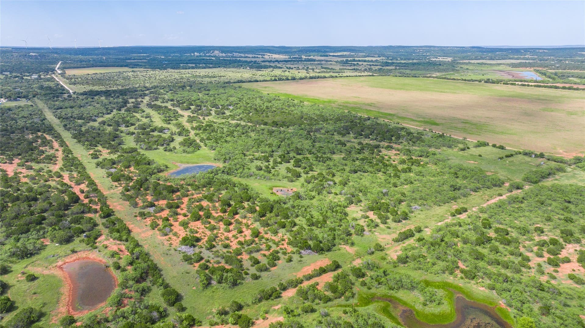 90 acres in Taylor County - photo 3