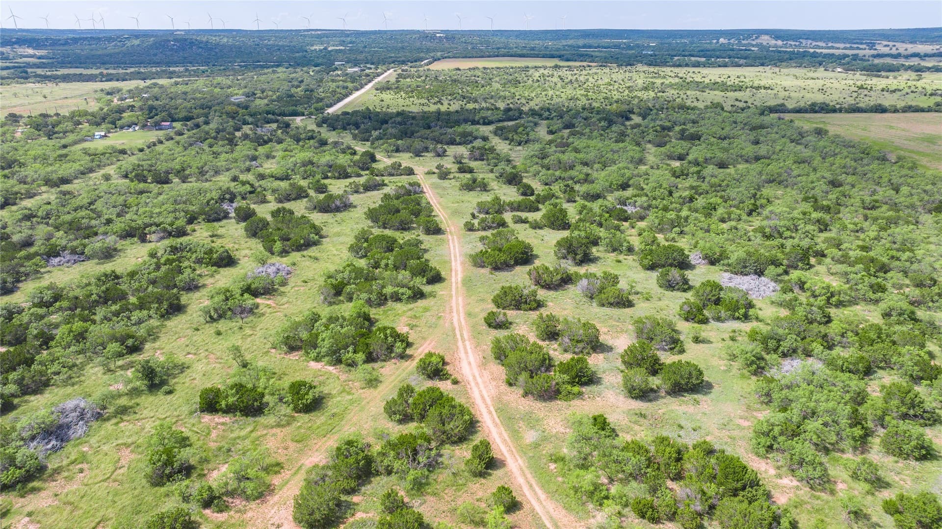 90 acres in Taylor County - photo 6