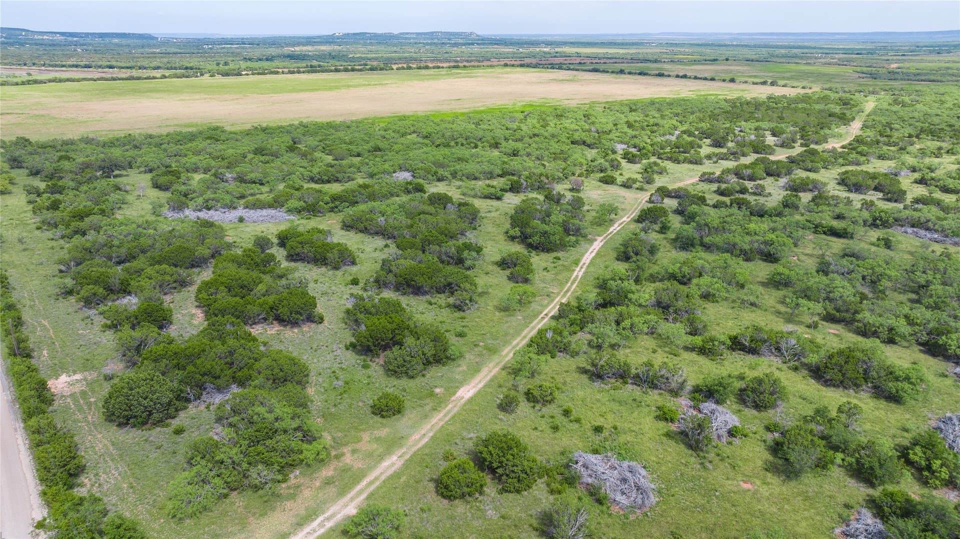 90 acres in Taylor County - photo 9