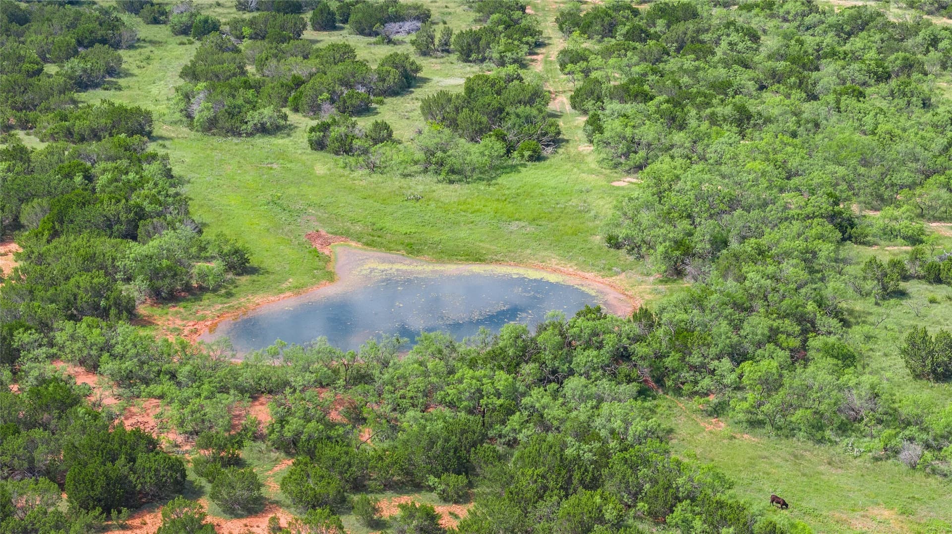 90 acres in Taylor County - photo 4
