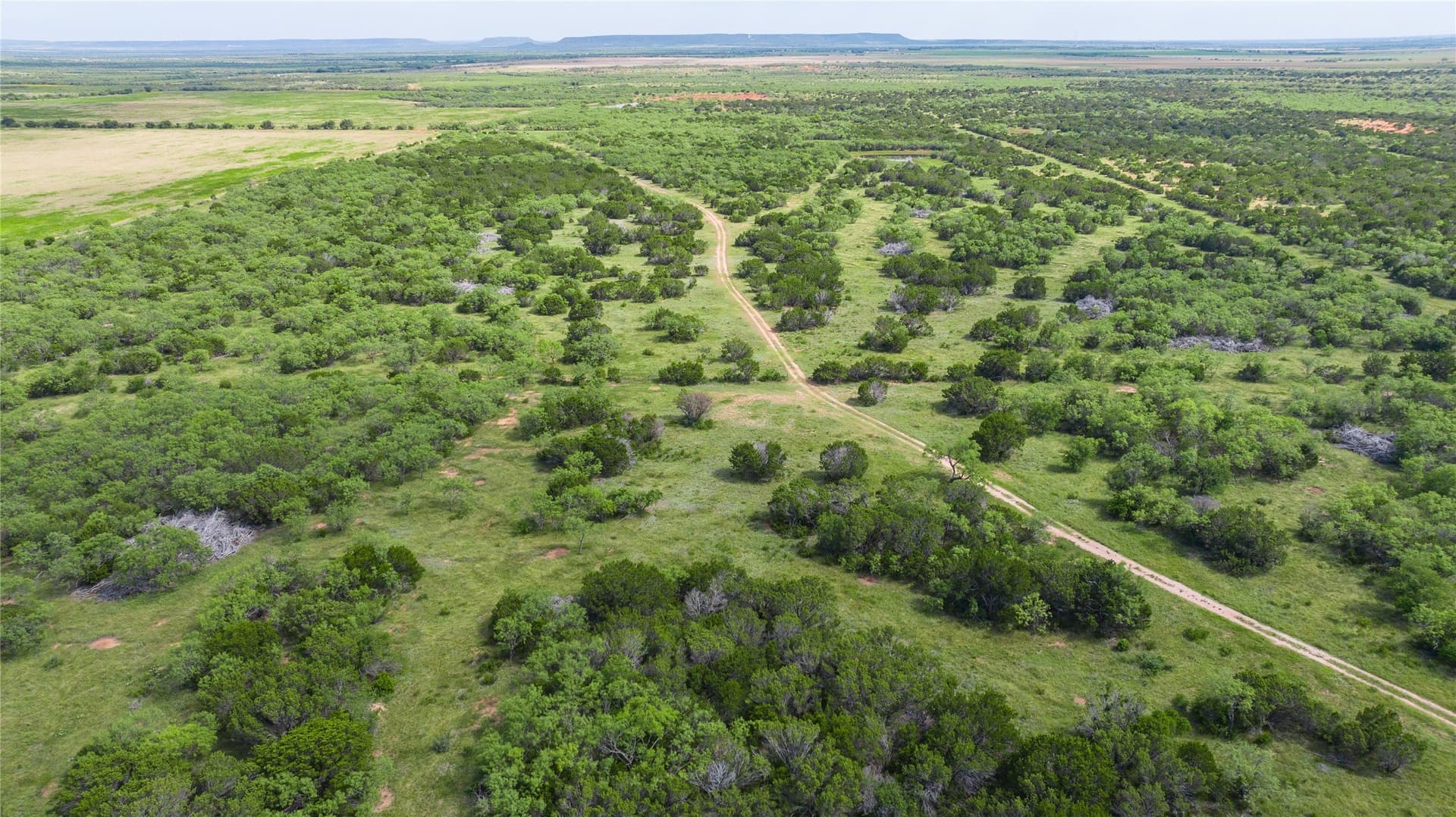 90 acres in Taylor County - photo 11