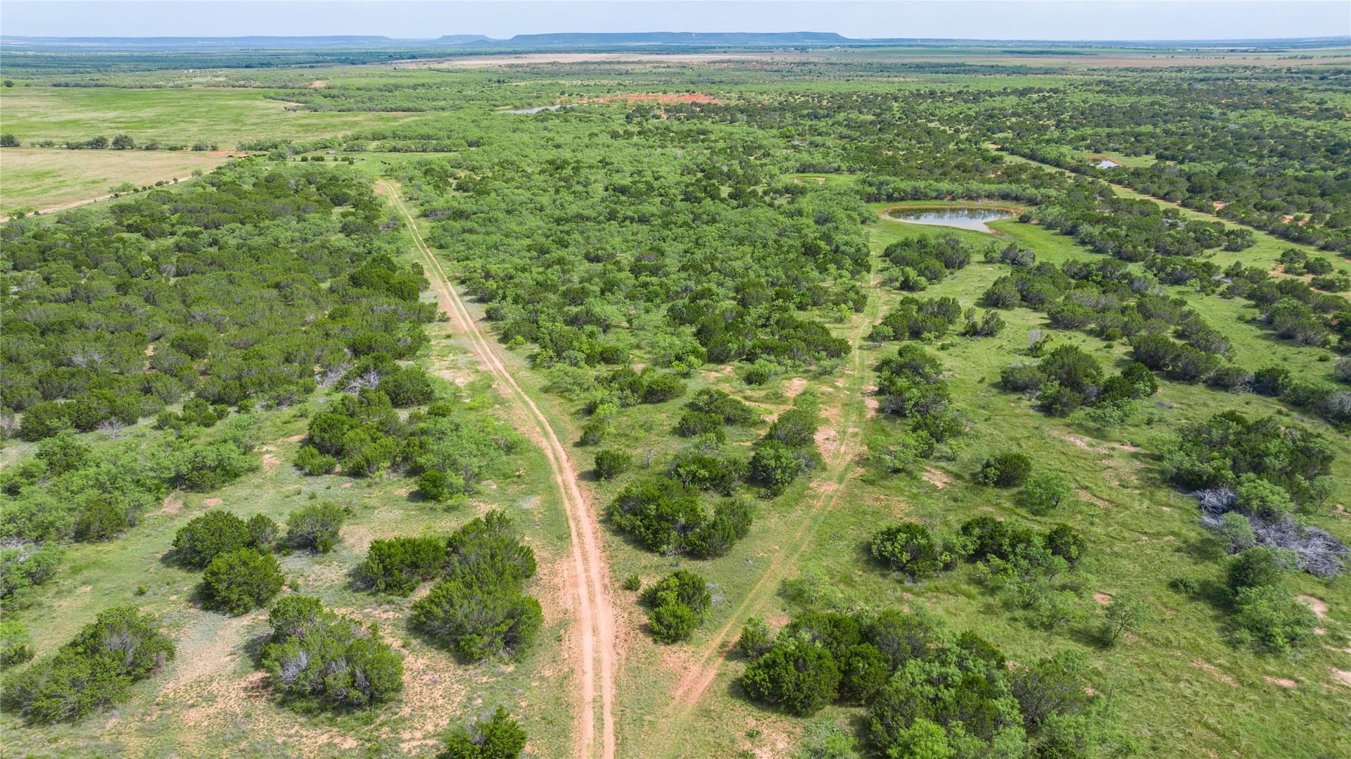 90 acres in Taylor County - photo 12