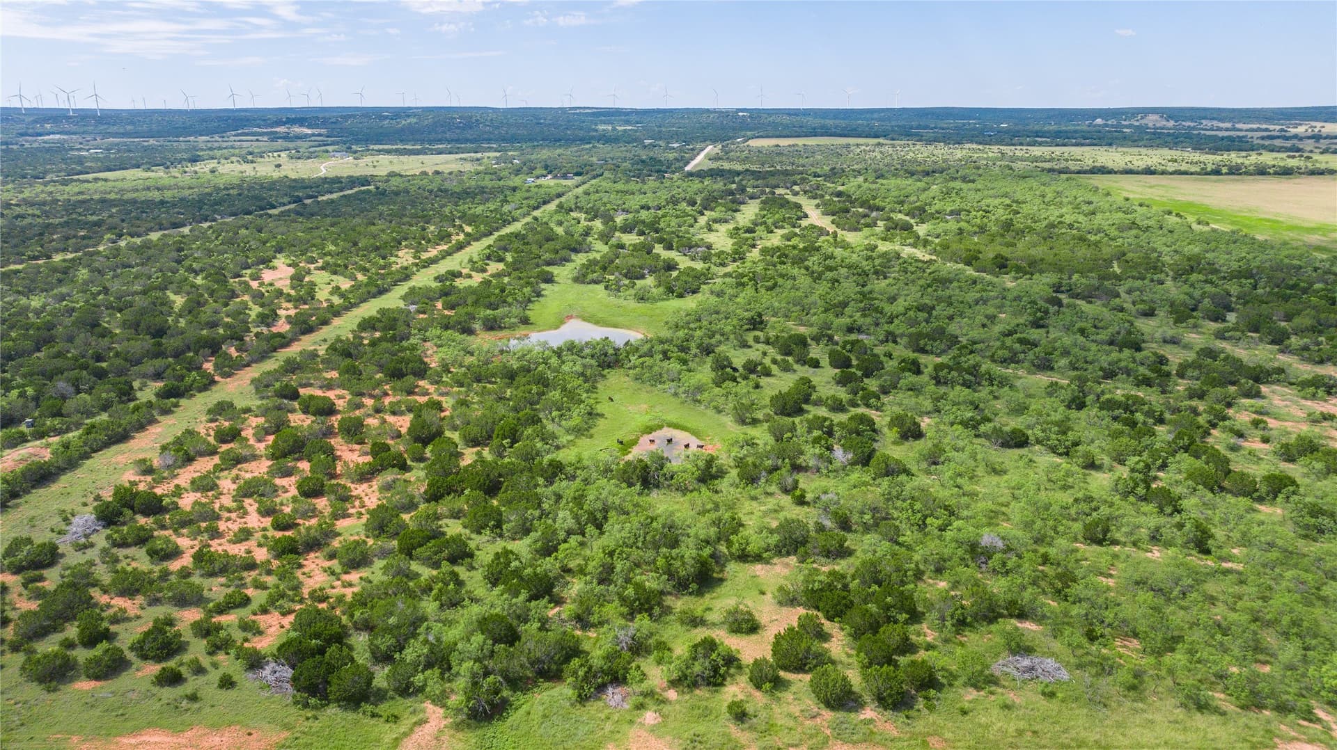 90 acres in Taylor County - photo 2