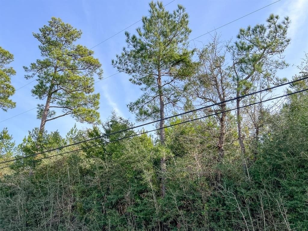 178 acres in Hardin County gallery image 2