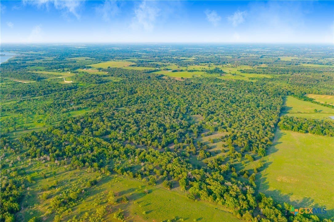 189 acres in Milam County - photo 24