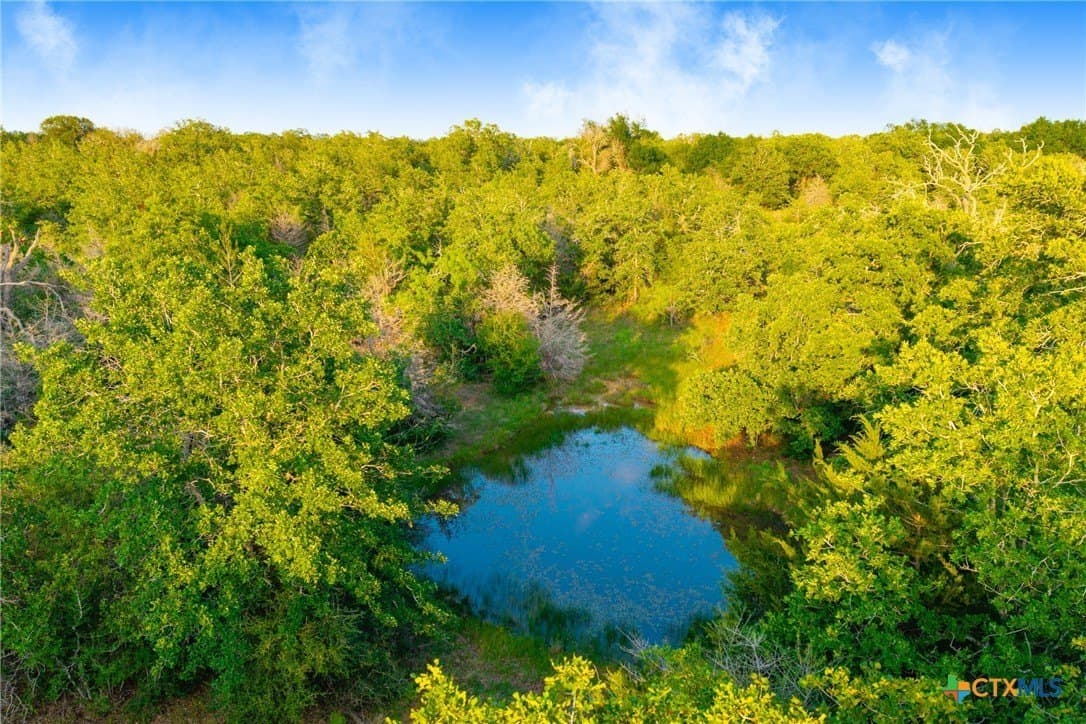 189 acres in Milam County - photo 30