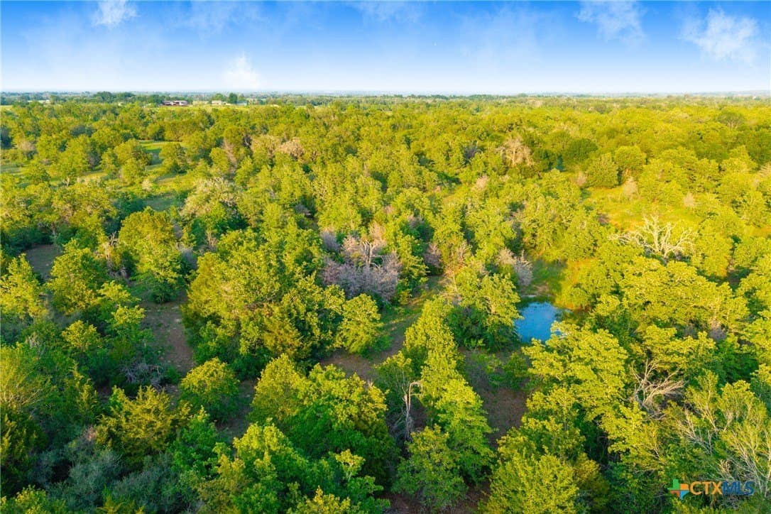 189 acres in Milam County - photo 29